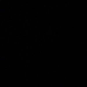 Meet your Posher, Devon